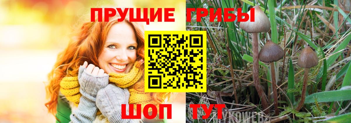 Кстово  Галлюциногенные грибы Psilocybe  Вход с VPN 