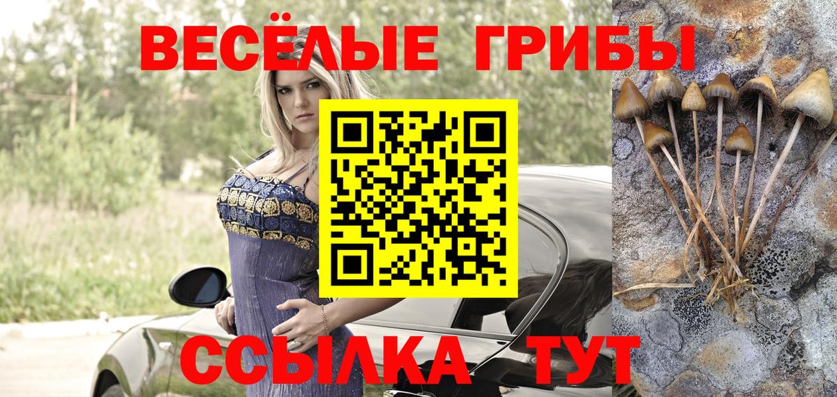 Галлюциногенные грибы GOLDEN TEACHER Кстово